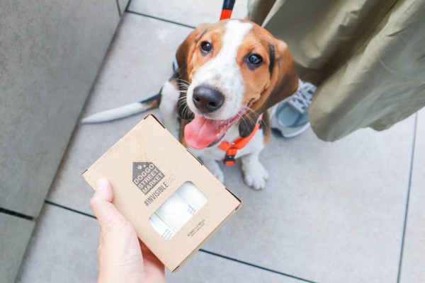 Plastic-free pups: Green Common launches biodegradeable poop bags