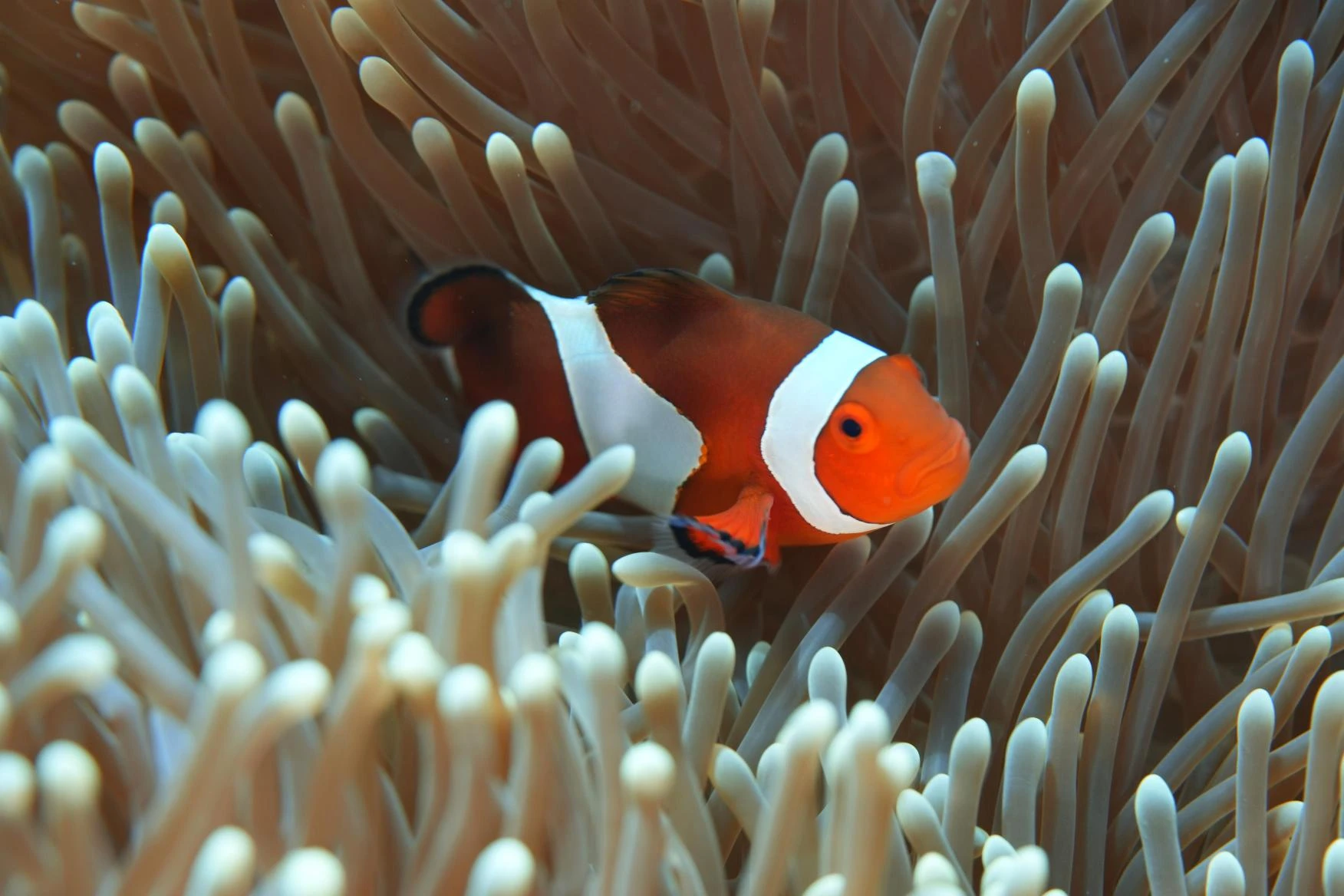 100 Takes: Into the deep