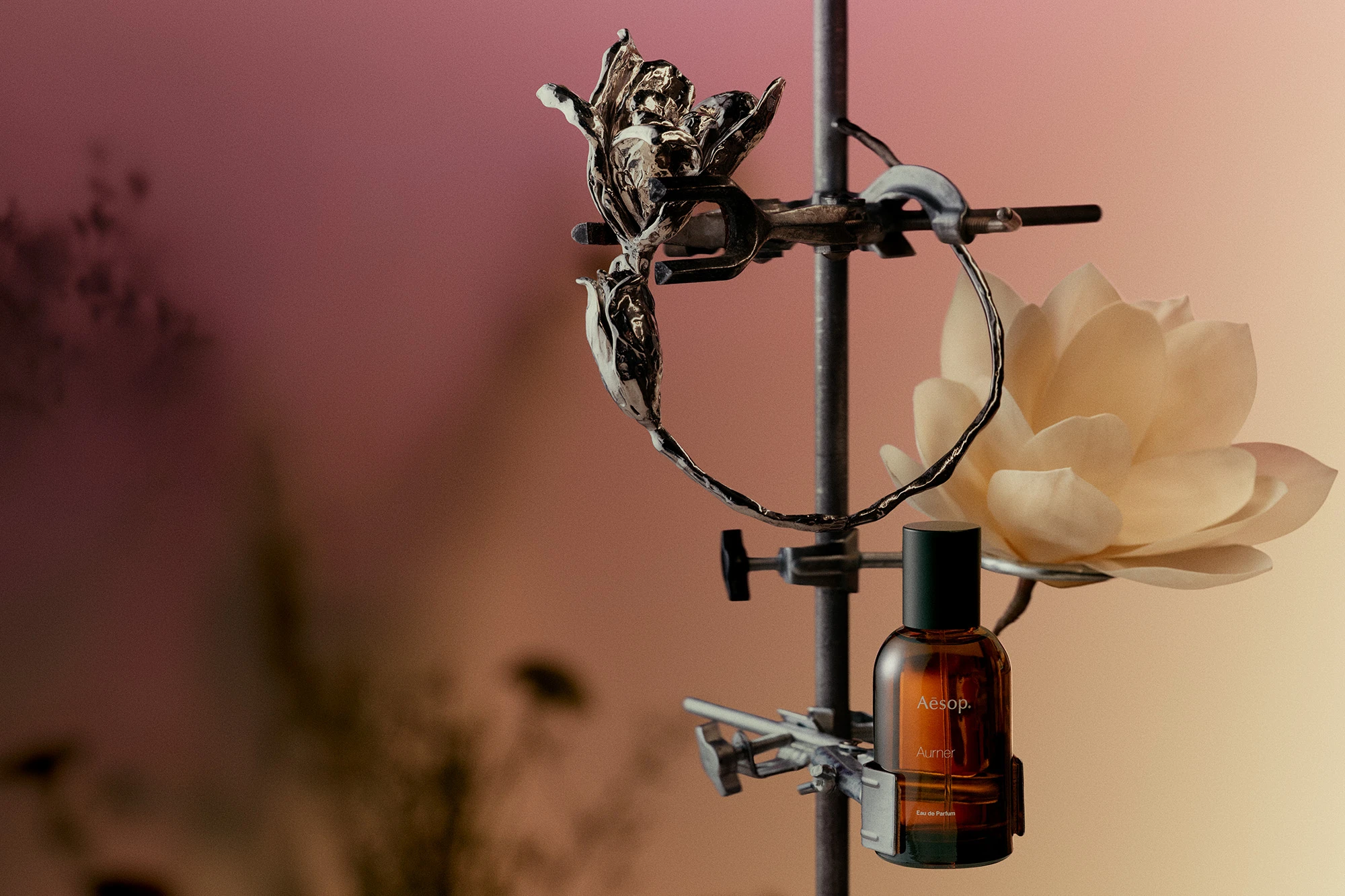 Perfumer Céline Barel on creating a magnolia-centric fragrance for Aesop 